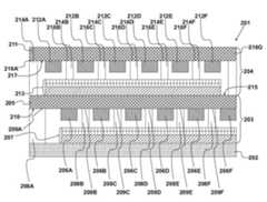 Figure P1020227032679