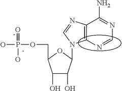 Figure US09233141-20160112-C00091