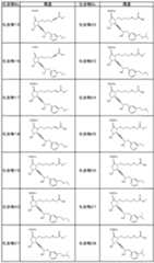 Figure imgf000012_0001