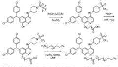 Figure imgf000227_0001