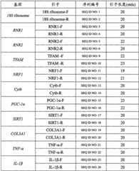 Figure BSA0000186801130000111