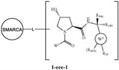 Figure BDA0003783300830001312