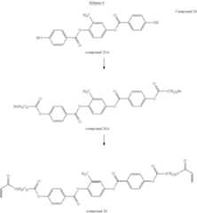 Figure US08388860-20130305-C00021