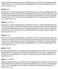 Figure imgf000090_0001