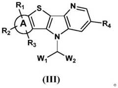 Figure BDA0002170659700000042
