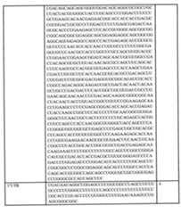 Figure 0007438604000020