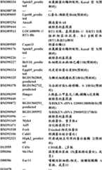 Figure BDA0000057170160000541