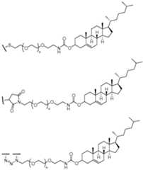 Figure imgf000335_0001