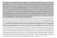 Figure imgf000055_0001