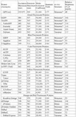 Figure imgf000032_0001