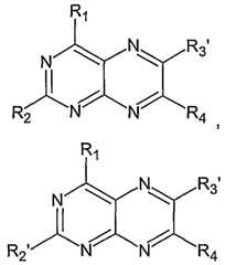 Figure imgf000019_0001