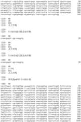 Figure IDA0002536600790000691