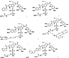 Figure imgf000243_0001