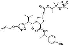 Figure BDA0004113777320001741