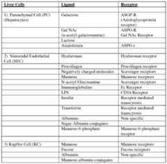 Figure imgf000092_0001