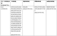 Figure BDA0004089703340001061