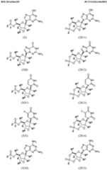 Figure imgf000034_0001