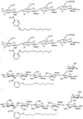 Figure imgf000033_0001