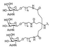 Figure 0007429103000083