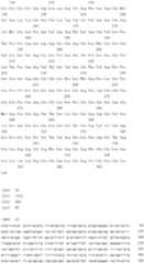 Figure IDA0000079231860000431