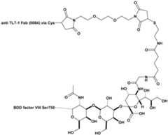 Figure imgf000143_0001