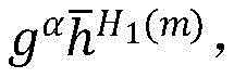 Figure GDA0002883176080000057