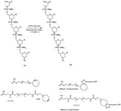 Figure imgf000186_0001