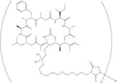 Figure US10472395-20191112-C00305