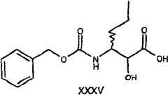 Figure G2009101493490D01823