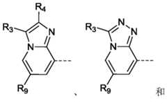Figure PCTCN2019077845-APPB-000082