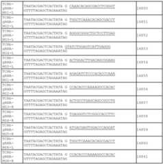 Figure imgf000177_0001