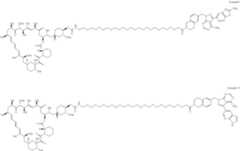 Figure US12048749-20240730-C00194