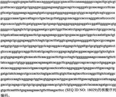 Figure BPA0000291811450000181