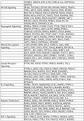 Figure imgf000136_0001