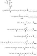 Figure imgf000040_0001