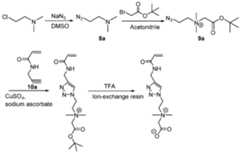 Figure imgf000079_0001