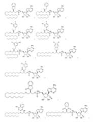 Figure 110138082-A0305-02-0310-24