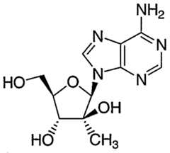 Figure imgf000185_0002
