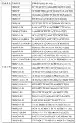 Figure BDA0000130928150000041