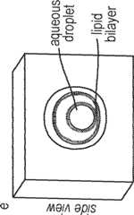 Figure GB2561157A_D0015