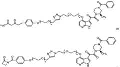 Figure imgf000073_0002