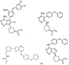 Figure imgf000019_0001