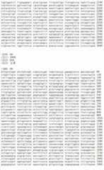 Figure IDA00002091897100801