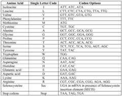 Figure imgf000081_0001