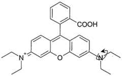 Figure imgf000016_0001