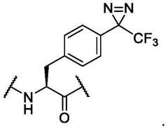 Figure BDA0003110682710000303