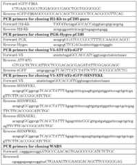 Figure imgf000045_0001