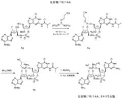 Figure 0007317014000063