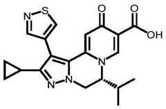 Figure BDA0003141290410002131