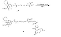 Figure imgf000057_0001